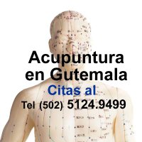 Acupuntura en Guatemala (@acupunturaguate) 's Twitter Profile