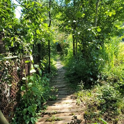 ScattN's profile picture. Basically don't expect any good quality tweets from my side. Following me is a huge waste.  So don't .