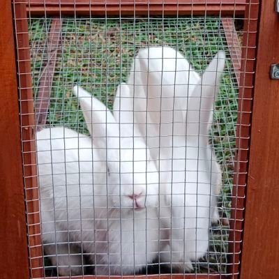 Humeyyraaa71's profile picture. 