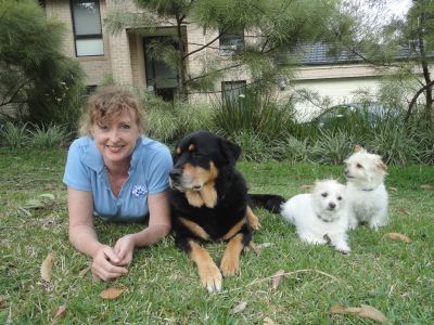 Dog obedience training and behaviour correction.  Qualified puppy instructor and NDTF trained.