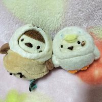 ぴよこ🐣 (@r5ao9nipzgg5yxn) 's Twitter Profile