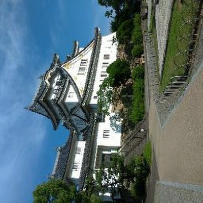 hiroki_kitanoda's profile picture. 