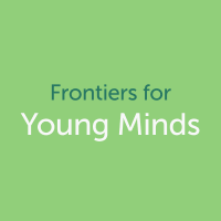 Frontiers for Young Minds (@frontyoungminds) 's Twitter Profile