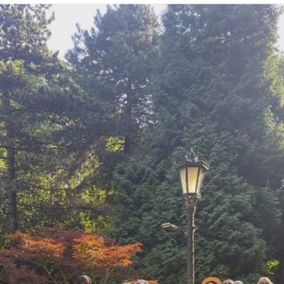 PierenIrene's profile picture. 