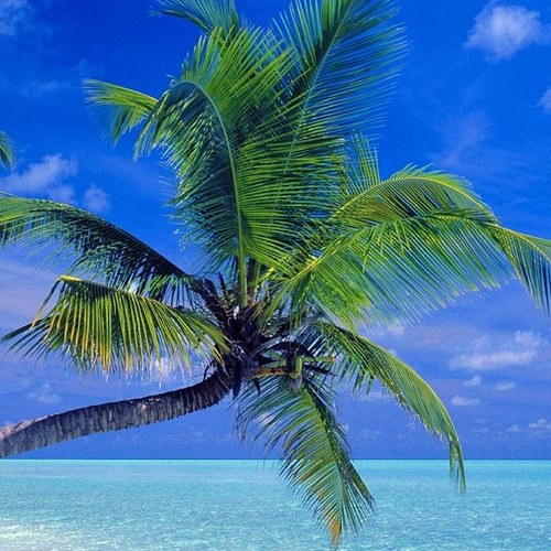 KTF2105's profile picture. 