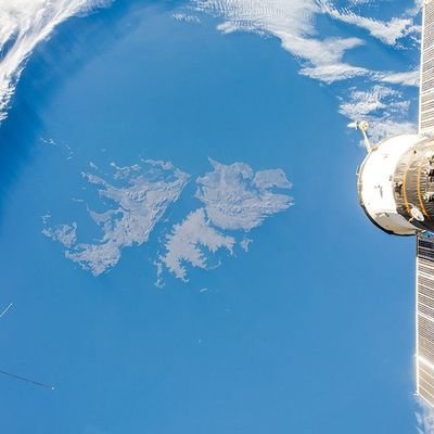 Pichiruco1's profile picture. In aqua salus, in vino Veritas.