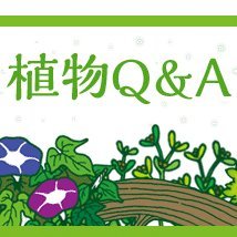 日本植物生理学会「みんなのひろば」から，植物Q&Aや、植物科学の最新の研究成果（プレスリリース）を紹介します。植物Q&Aは過去の質問からランダムに選んで紹介します。植物の様々な不思議や、研究の最先端をお楽しみください。
日本植物生理学会の会員向けには、 @JSPP_news で情報発信しています。