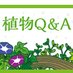 日本植物生理学会 みんなのひろば (@jspp_qa) Twitter profile photo 日本植物生理学会 みんなのひろば (@jspp_qa) Twitter profile photo