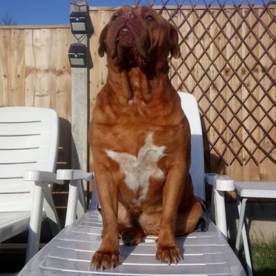 BOBG4L3_CRYPTO's profile picture. 