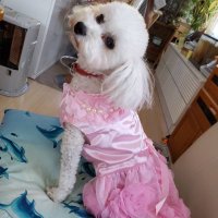 YUKI♡♡ (@lfbpp9hlips7nzu) 's Twitter Profile