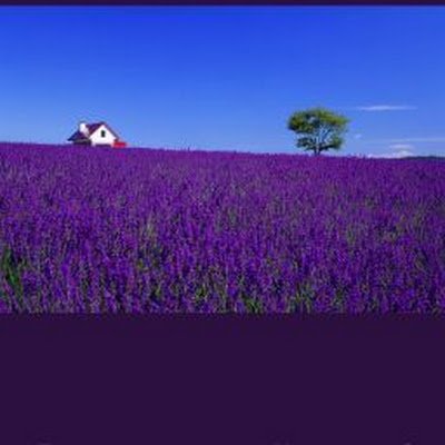 buthappy1029's profile picture. 