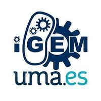 iGEM_UMA(@iGEM_UMA) 's Twitter Profile Photo