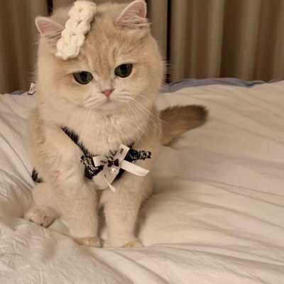 Ishwarvaghasia's profile picture. Thanks to the loss and sadness in life, we can evolve into a better version of ourselves through each involuntary experience.