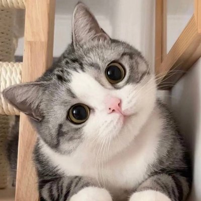 ShantyDinafa's profile picture. No one laughs at people who try their best.