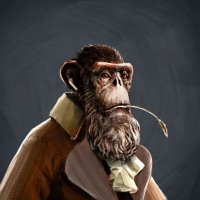 MintedMaster 🦍 (@mintedmaster457) 's Twitter Profile