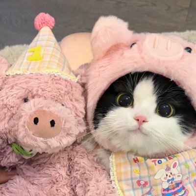 Edwin12334's profile picture. Only when you are strong enough can you have the qualifications and confidence to live the kind of life you want.