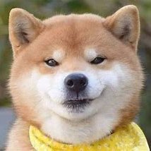 anim_jasmi's profile picture. The road to success: the first step, goal; the second step, take action; the third step, persist to the end