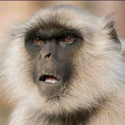 CFO 📊 | #Bitcoin | Golfer 🏌️ | Fisherman 🎣 | Whisky Aficionado 🥃 | Wildlife lover 🐆 | Traveller 🛩️ | Proudly South African 🇿🇦 | Views are my own |