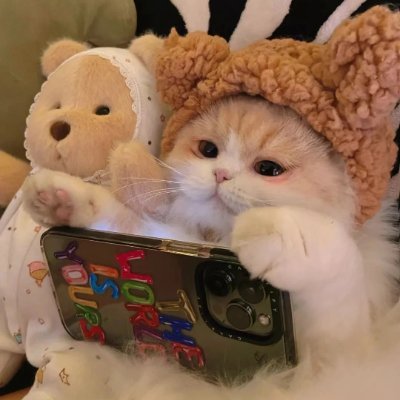 alimsyahrahman's profile picture. All your unfocused efforts are just perfunctory to yourself.