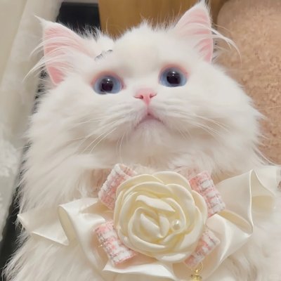 brilliance96's profile picture. Hold on to your dreams and move forward.