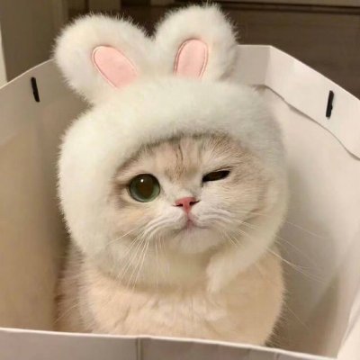 Carl_vincent20's profile picture. Don’t let your future self hate your current self