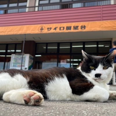 🆕絶景の天空トリップ！洞爺湖スカイクルージングの営業スタート🚁北海道洞爺湖のドライブ休憩ポイントと言えばココ👍売店営業時間8：30-17：00（11～4月）8：30-18：00（5～10月）☝無料駐車場完備😋🖐お土産店＆カフェも有り☕銀魂/野猿/平山晃哉さん/天体のメソッドの聖地巡礼も😆⬇️