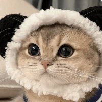 Kenyatta Schaefer (@kschaefer19793) 's Twitter Profile