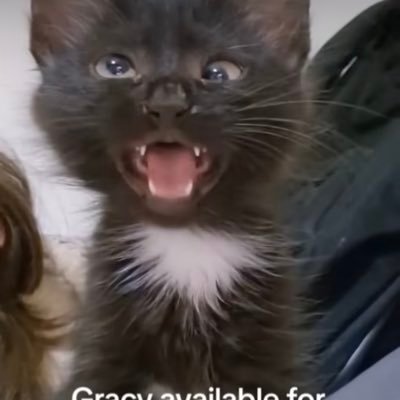 weezerfan374's profile picture. jewish comedian with big tits