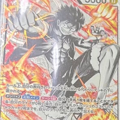 akikiwai's profile picture. 