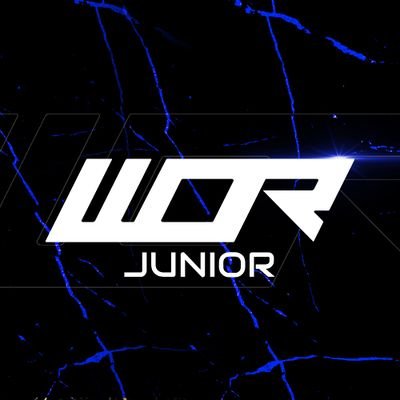 🇵🇹 | F1 Academy driver for @WOResports | 19