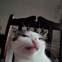 DOPPSIAK (@doppsiak_) 's Twitter Profile