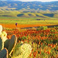 Dewayne Conn (@dewaynecon47923) 's Twitter Profile