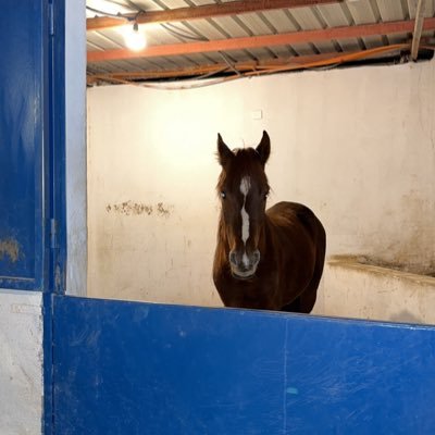 Robotshop2's profile picture. انجاز المهام في اسرع وقت للطلب 👇🏻