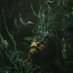 Void's Chamber (@voids_chamber) Twitter profile photo Void's Chamber (@voids_chamber) Twitter profile photo