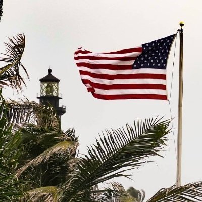 JmSofla's profile picture. Watching the circus and taking pictures along the way. Please no DM's