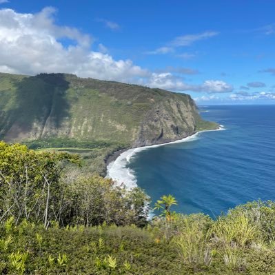 n9ne25's profile picture. Food, travel, adventure