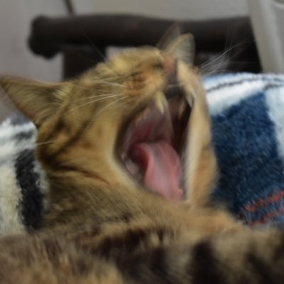 あいりさんのプロフィール画像