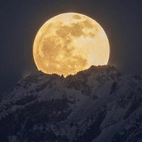 ایرانیام (@gt_g23) 's Twitter Profile