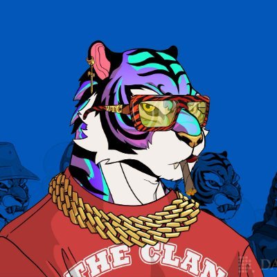 tedyyeddy's profile picture. enjoy every moment bearish & bullrun | web 3 | 🐼