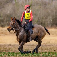 Erika Dovey (@nfyoungcommoner) 's Twitter Profile Photo