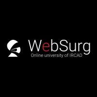 WebSurg(@websurg) 's Twitter Profile Photo