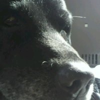 クニキチ (@kunikithi) 's Twitter Profile Photo クニキチ (@kunikithi) 's Twitter Profile Photo