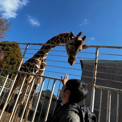 KOBE/公務員/映画や写真/猫/特にこだわりなく、いろんなジャンルの本を週に1冊目標に読んでいます！オススメの本を教えてください！