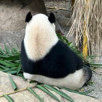 Rubii (^-^) (@p_i_n_g_l) 's Twitter Profile