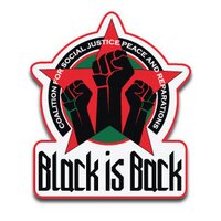 Black is Back Coalition (BIBC)(@BlackisBack_) 's Twitter Profile Photo