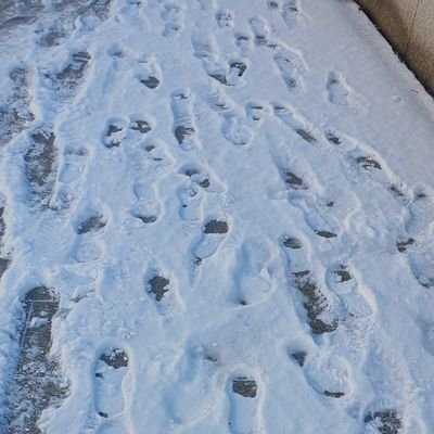 0paAran0's profile picture. 트위터 이거 어떻게 쓰는 건데요