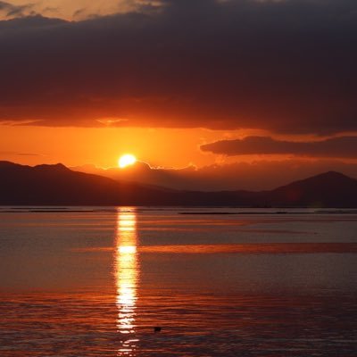 a4399ya's profile picture. 世の中のこと自分で調べて考えてみよう✍