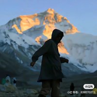 Kios (@kios361773) 's Twitter Profile