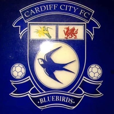 absolutely love #FPL,always looking for tips n advice in this community 💙🤍 #Cardiff City Fan Blooooobirds.💙🤍