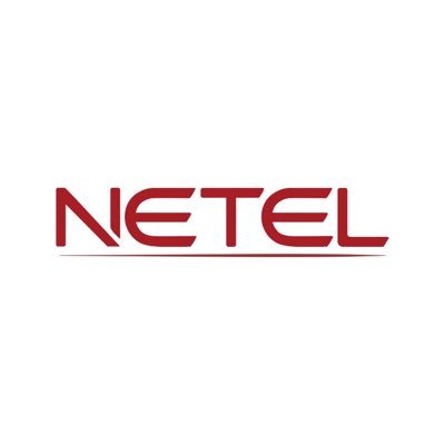 netelsa Profile Picture